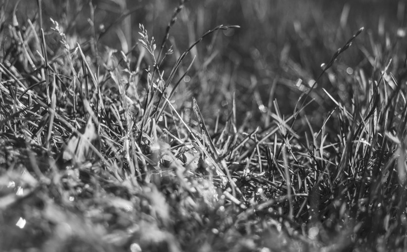 Technology and human&nbsp;interaction