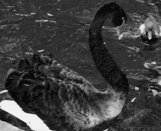 What happens to the kids who did well in&nbsp;school