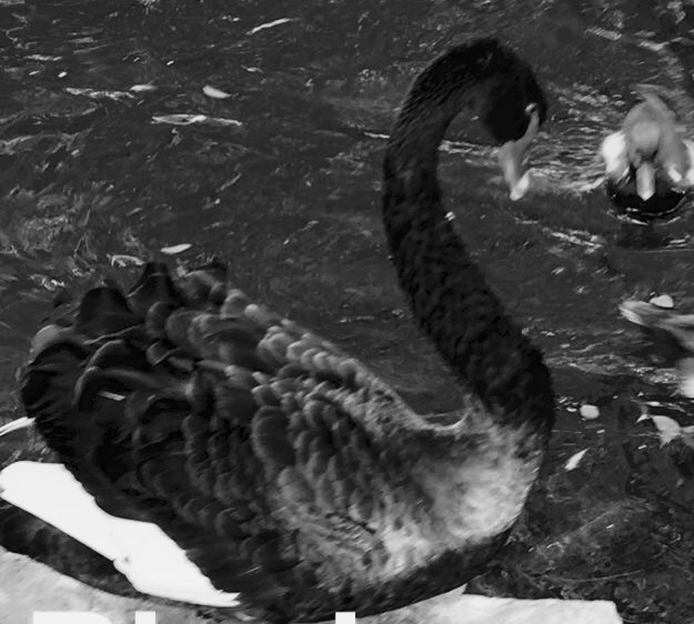 what happens to intelligent kids after they leave school