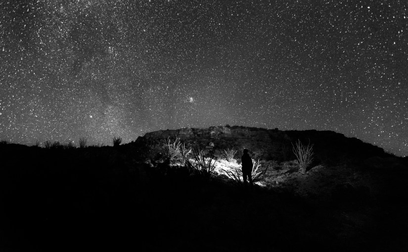 I can’t keep track of each fallen&nbsp;robin