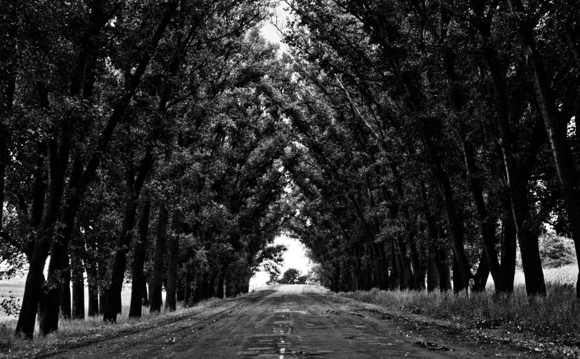 How to stop worrying about things that may never&nbsp;happen?