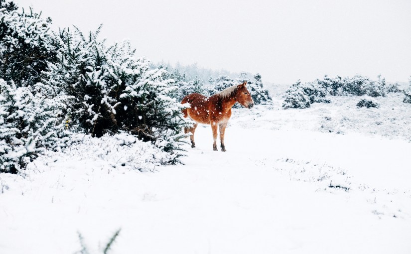 Time, Socrates and&nbsp;Taleb