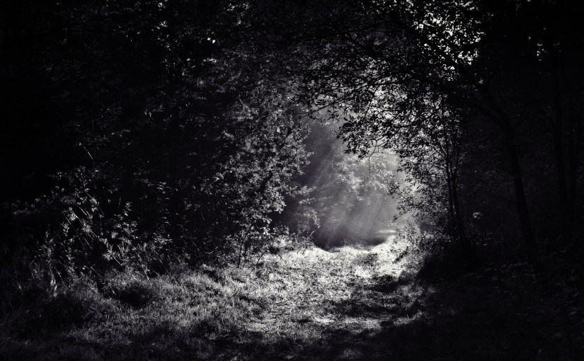 Our brains are story telling&nbsp;machines