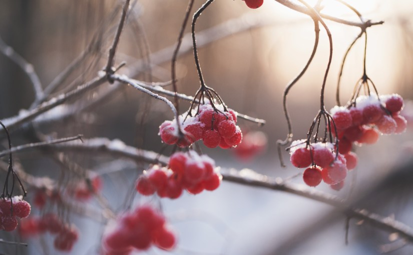 It’s always good to look back on where you&nbsp;started