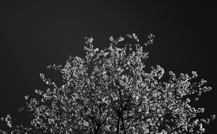 Trust and likeability