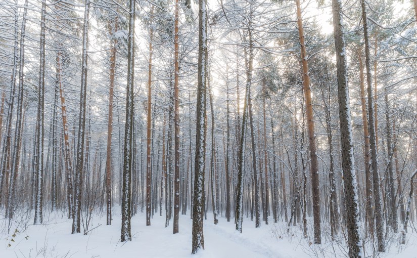 What the internet will look like in 10&nbsp;years