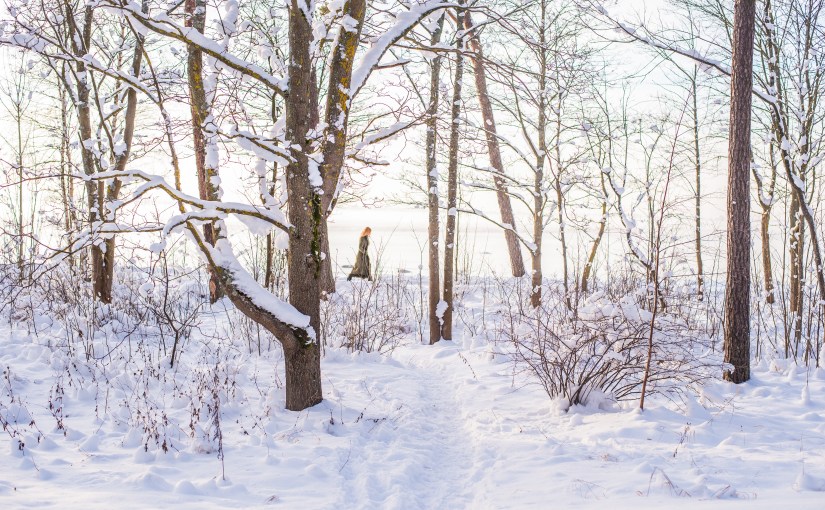 Is free will just another name for&nbsp;motivation?