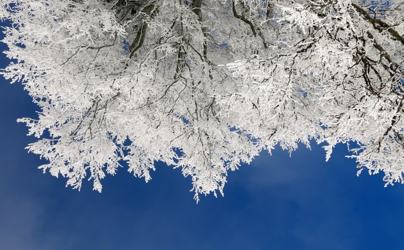 Here we are, trapped in the amber of this&nbsp;moment