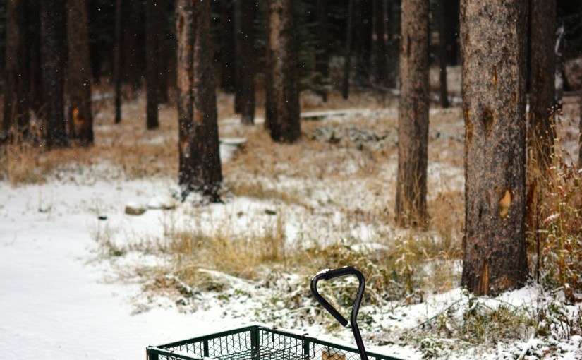 Management consultants now selling&nbsp;neuroscience