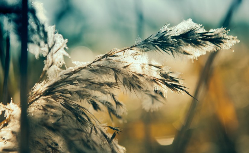 A religion for people who, in troubled times, don’t want any&nbsp;trouble