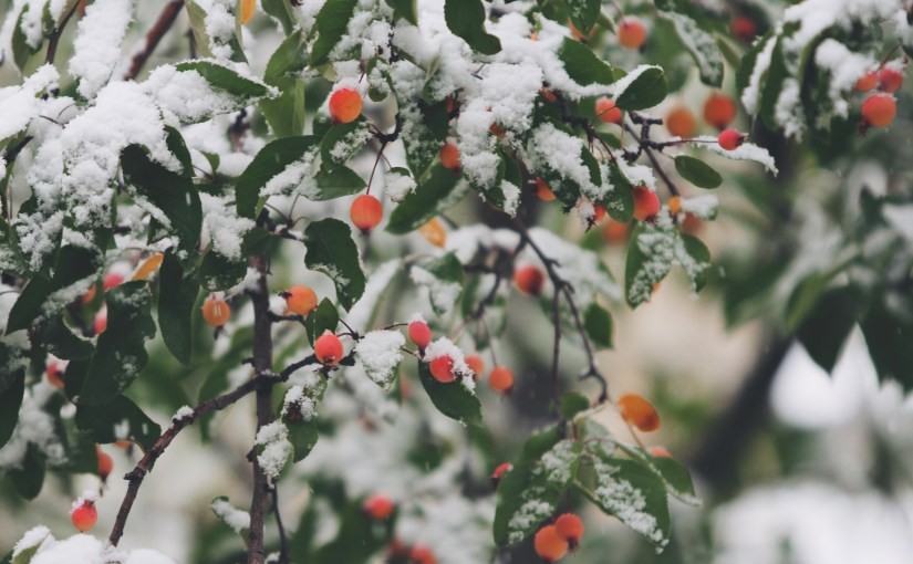 Inside a bilingual&nbsp;mind