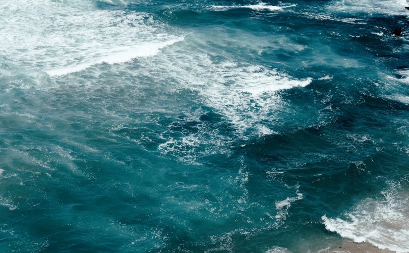 “What… is water?” asks the&nbsp;fish