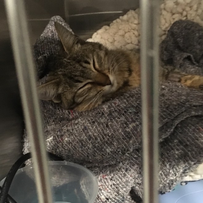 mindfulness in a difficult situation