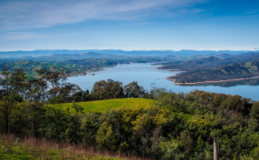 How our shrinking brains are turning us into Homo&nbsp;Domesticus