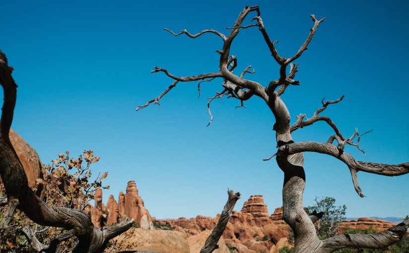 Why Nietzsche was so critical of&nbsp;Buddhism