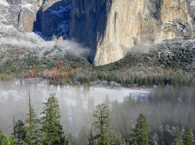 do we all pay the same price for our dreams