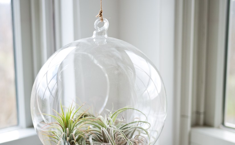 Do we all pay the same price for our&nbsp;dreams?