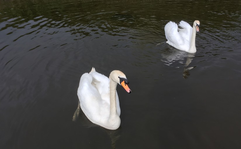 “Ethics” as a form of&nbsp;marketing