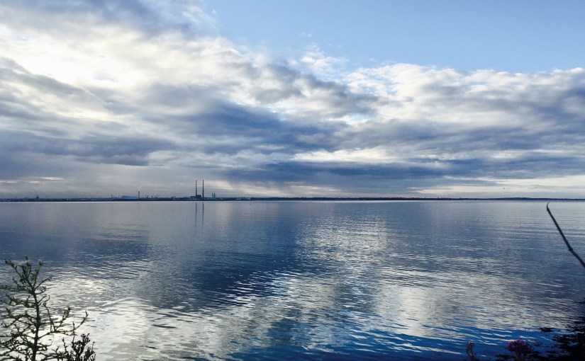 The thunder rattles, the dog&nbsp;barks