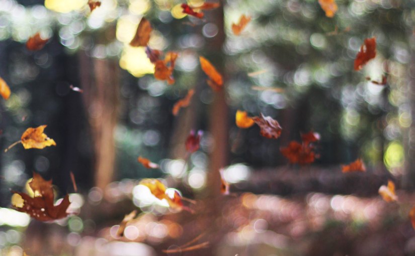 The unofficially religious