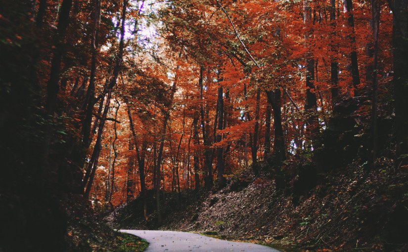 Beliefs I’ve grown out&nbsp;of