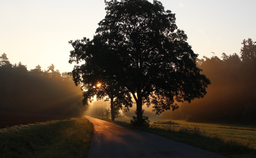 writing vs creating content