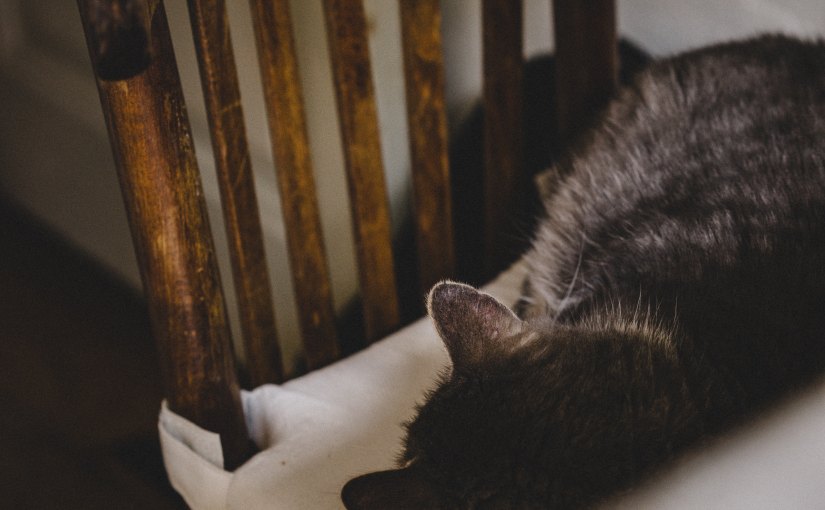 Isn’t poetry the most magical form of&nbsp;expression?