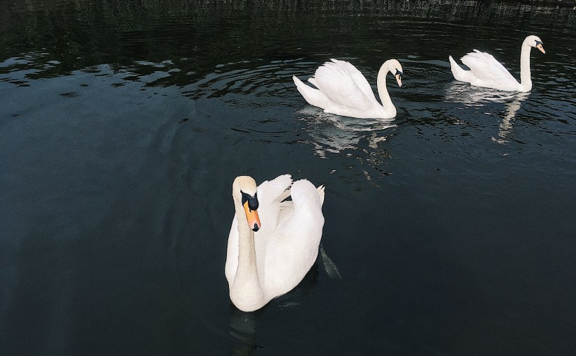 Cool, as of&nbsp;1528